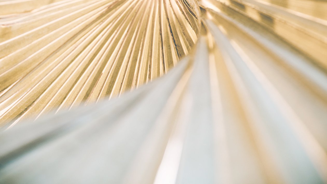 A beige abstract object