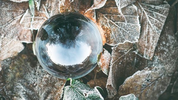A glass ball on top of frosted leaves