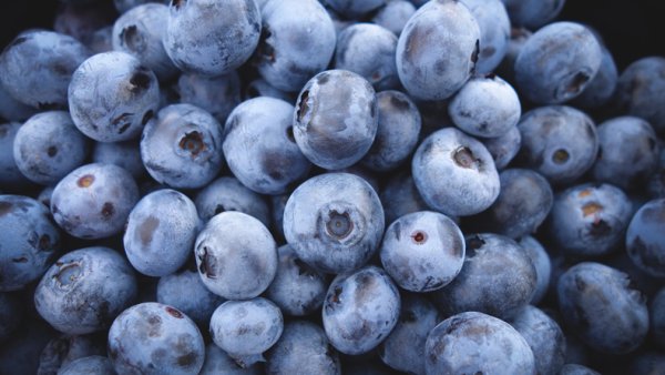 Blueberries