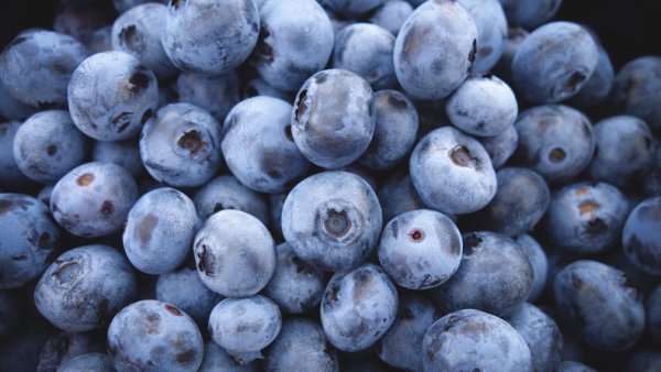 Blueberries 