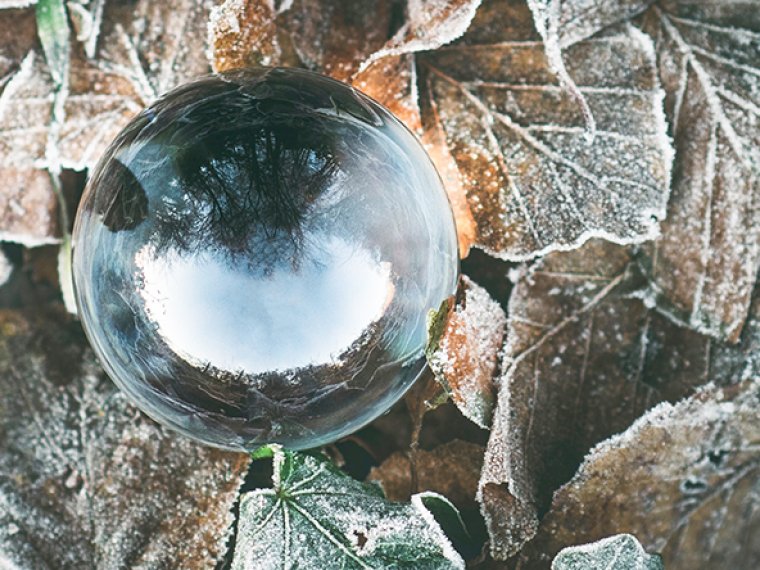  A glass ball on top of frosted leaves