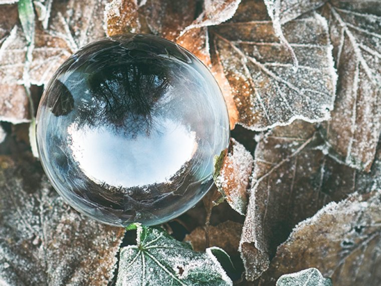 A glass ball on top of frosted leaves