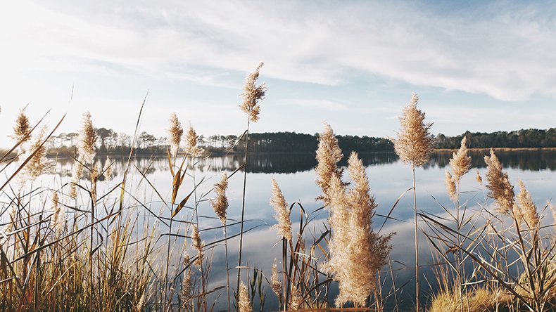 Autumn lake landscape