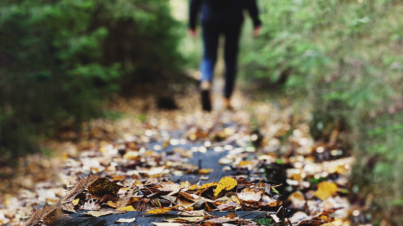 Autumn leaves on path